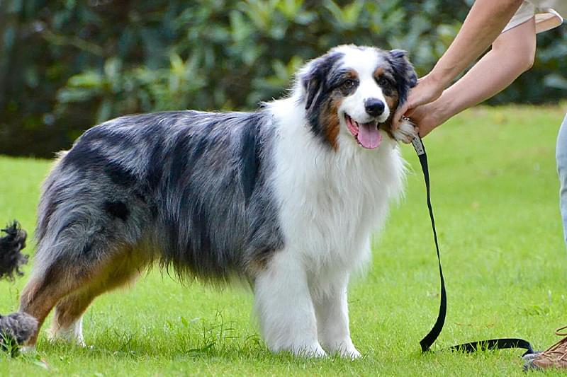 健康管理など気を付けること