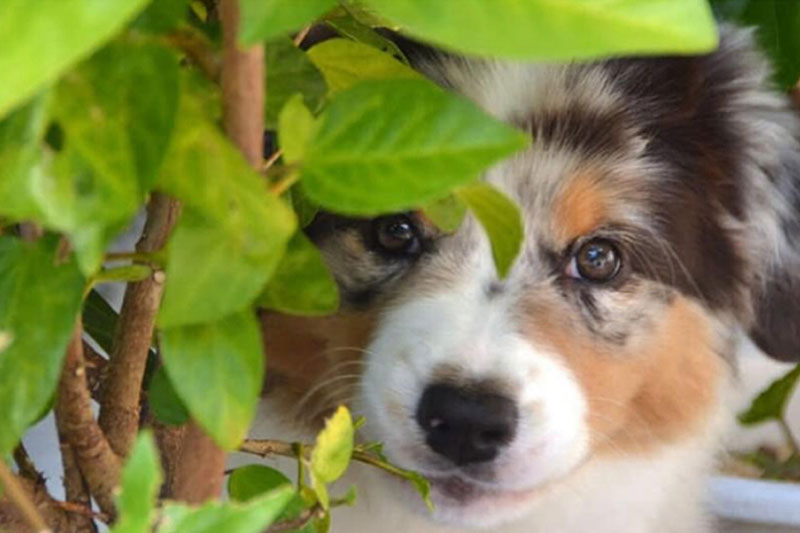 お譲り後のサポート