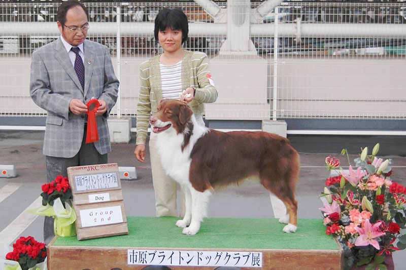 小俣 治美（ブリーダー/トリマー）