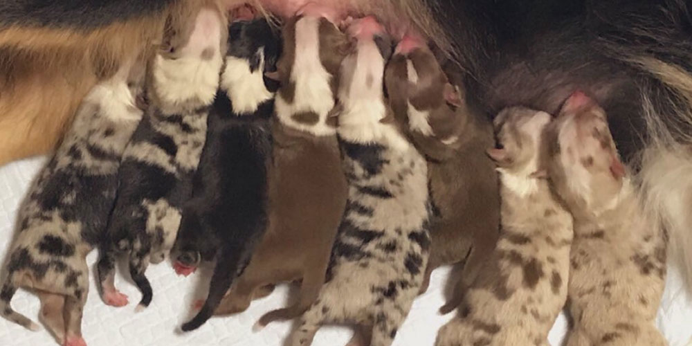 譲渡までの流れ