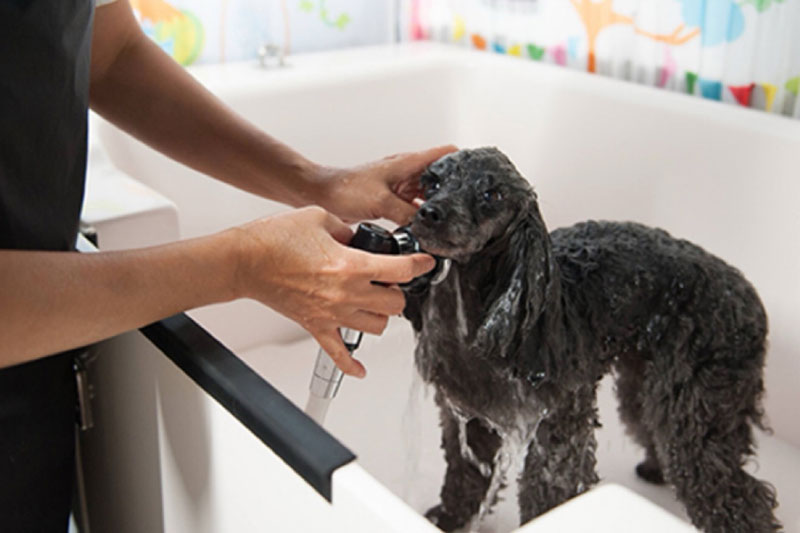 体調の変化を敏感に察知して、健やかな生活を守ります